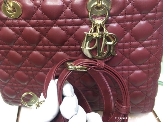Tony Luxuries LADY LARGE BAG diro 0710
